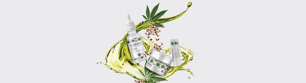 BIO:VÉGANE Bio Hanf Serie mit Bio Hanf Öl-Serum und Bio Hanf 24h Pflege für gestresste Haut