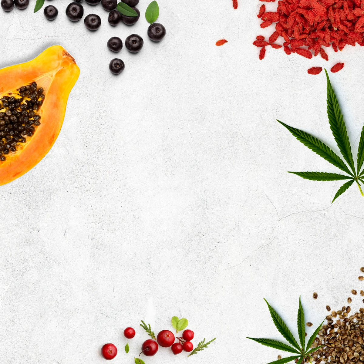 Frei von Duftstoffen  | BIO:VÉGANE SKINFOOD |✅ Naturkosmetik |🌿vegan |🌍klimaneutral |📍made in Germany
