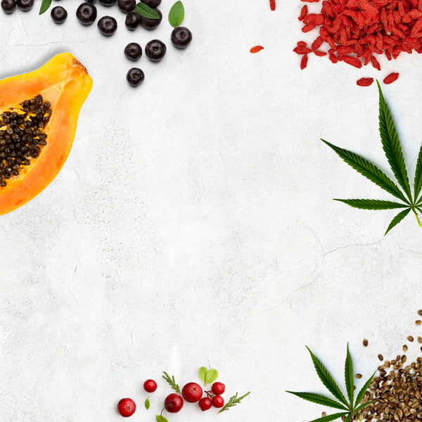 Frei von Duftstoffen  | BIO:VÉGANE SKINFOOD |✅ Naturkosmetik |🌿vegan |🌍klimaneutral |📍made in Germany