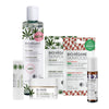 BIO:VÉGANE Bestseller-Set