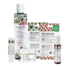 BIO:VÉGANE Bestseller-Set - BIO:VÉGANE SKINFOOD